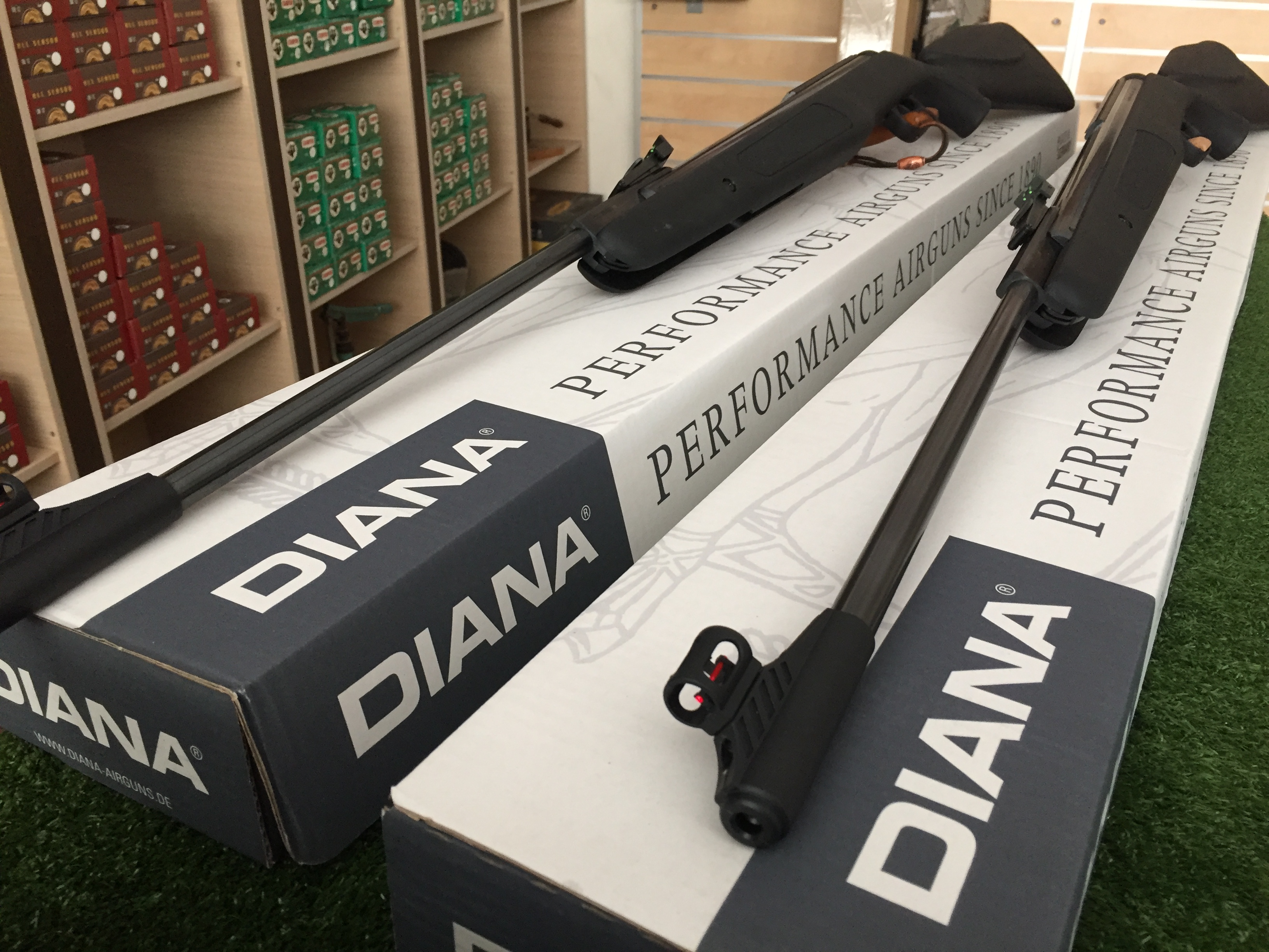 Ένας Συνδυασμός Ακρίβειας και Δύναμης: Diana Panther 350 Magnum T06