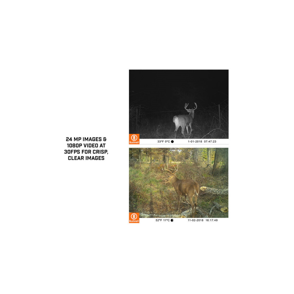 Κάμερα Κυνηγίου Bushnell Core Low Glow Trail Cam, 119938