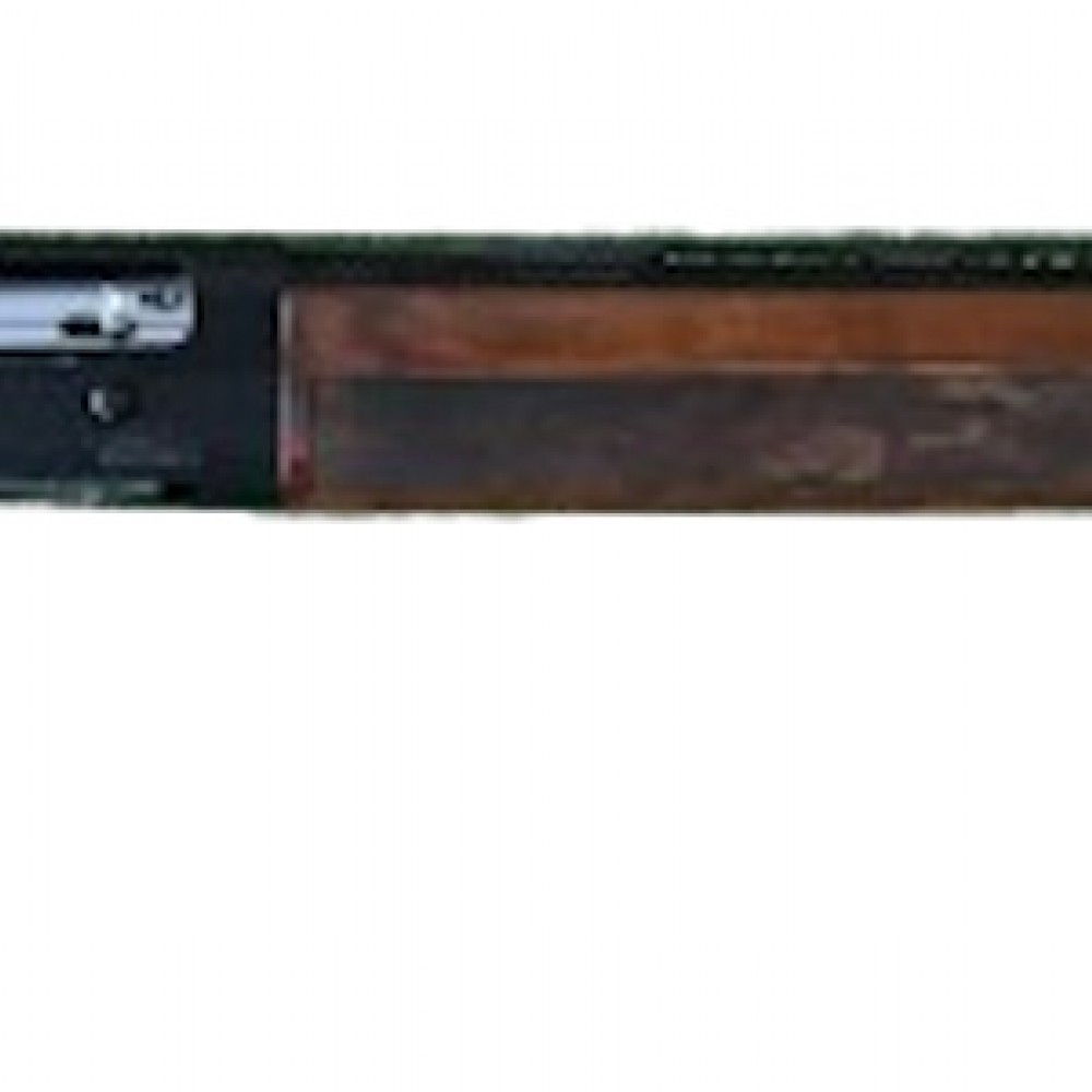 Beretta AL391 Urika
