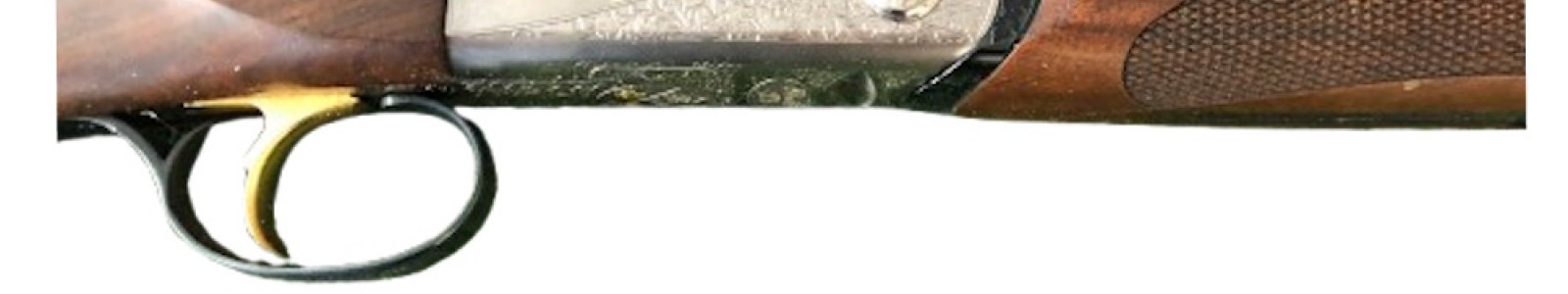 Bettinsoli Silver Lite